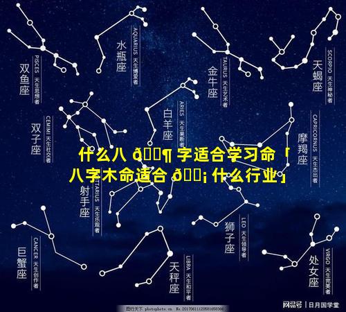 什么八 🐶 字适合学习命「八字木命适合 🐡 什么行业」
